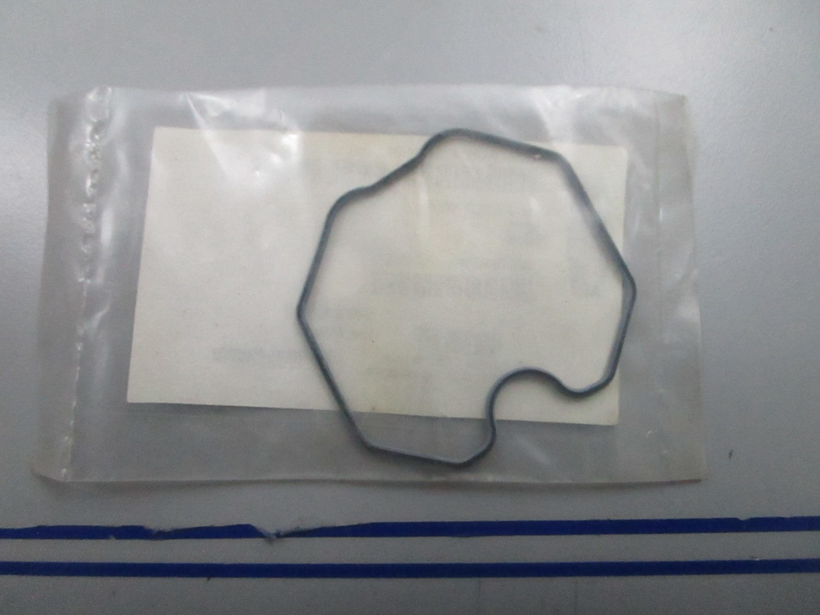 *NEW OEM* 0810 Polaris Float Seal 0453032