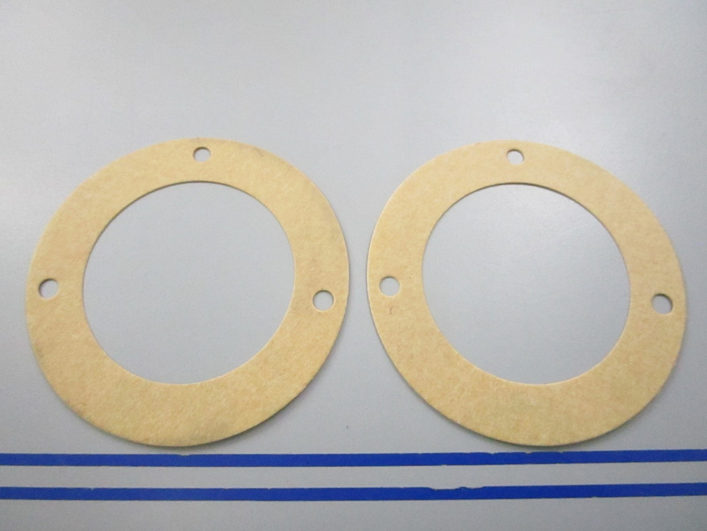 NEW OEM (LOT OF 12) 17472-93100 Suzuki Water Plate Gasket 0810