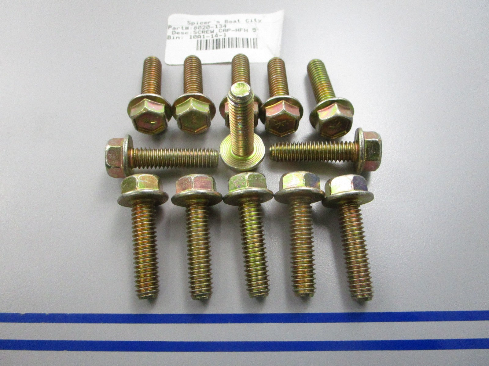 NEW OEM (LOT OF 13) 8020-134 Arctic Cat Cap Screw 0810