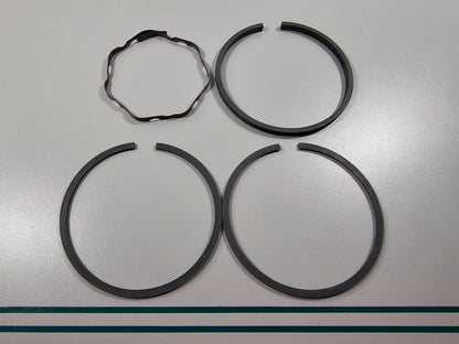 NEW OEM 391782 Briggs & Stratton Piston Ring Set 0810