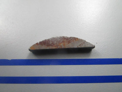 *NEW OEM* 0810 OMC Johnson Evinrude Key 302602 0302602