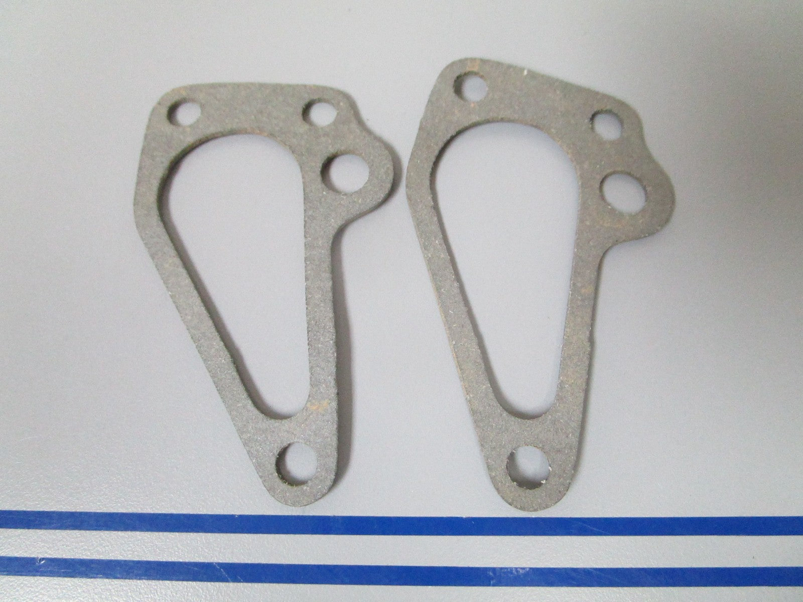 NEW OEM (LOT OF 2) 306197 0306197 OMC Johnson Evinrude Gasket 0810