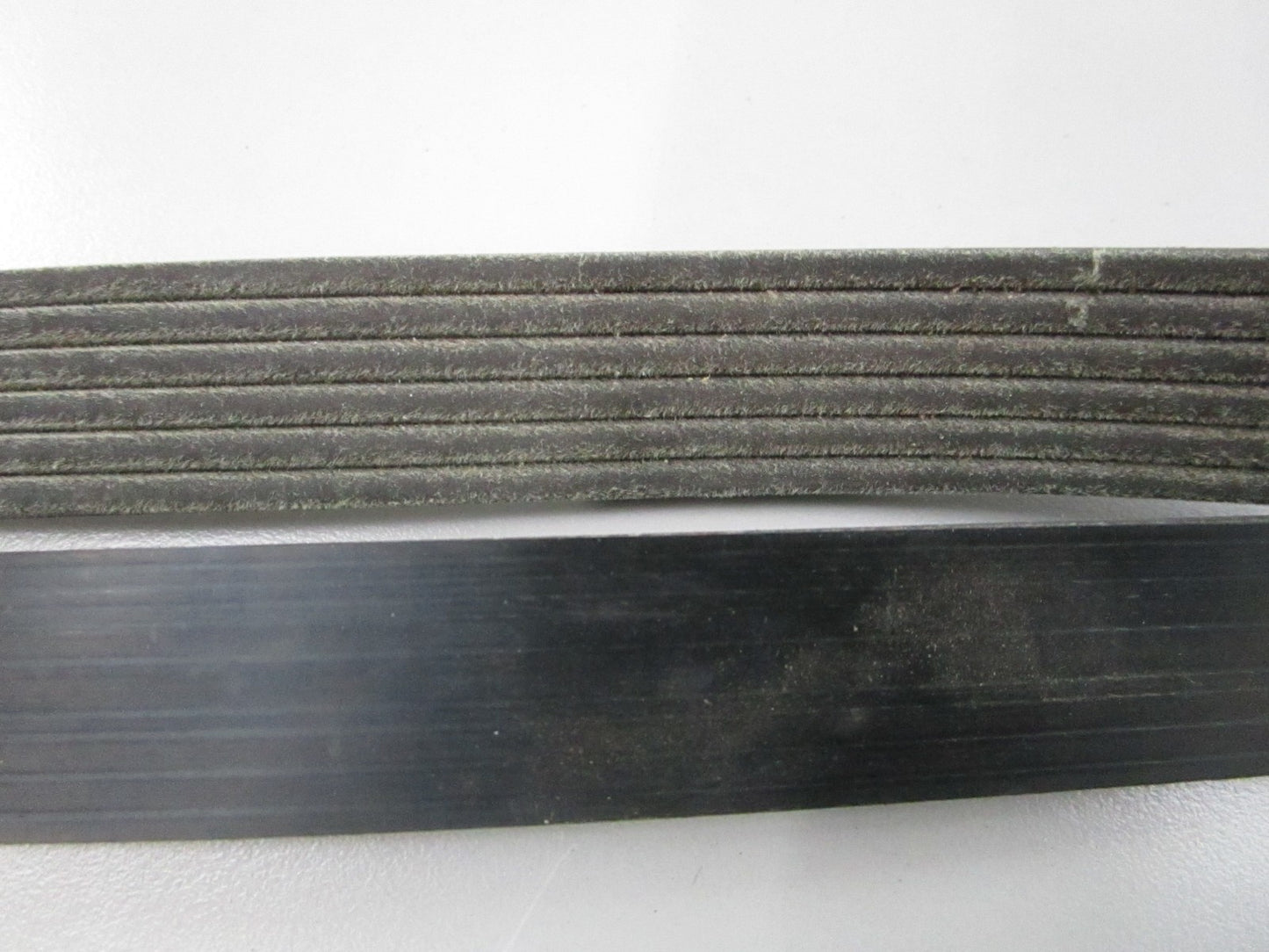 NEW 5060785 Dayco Serpentine Belt 0810