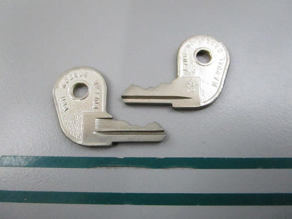 NEW OEM (LOT OF 2) 501787 0501787 OMC Johnson Evinrude 73-22 Ignition Key 0810