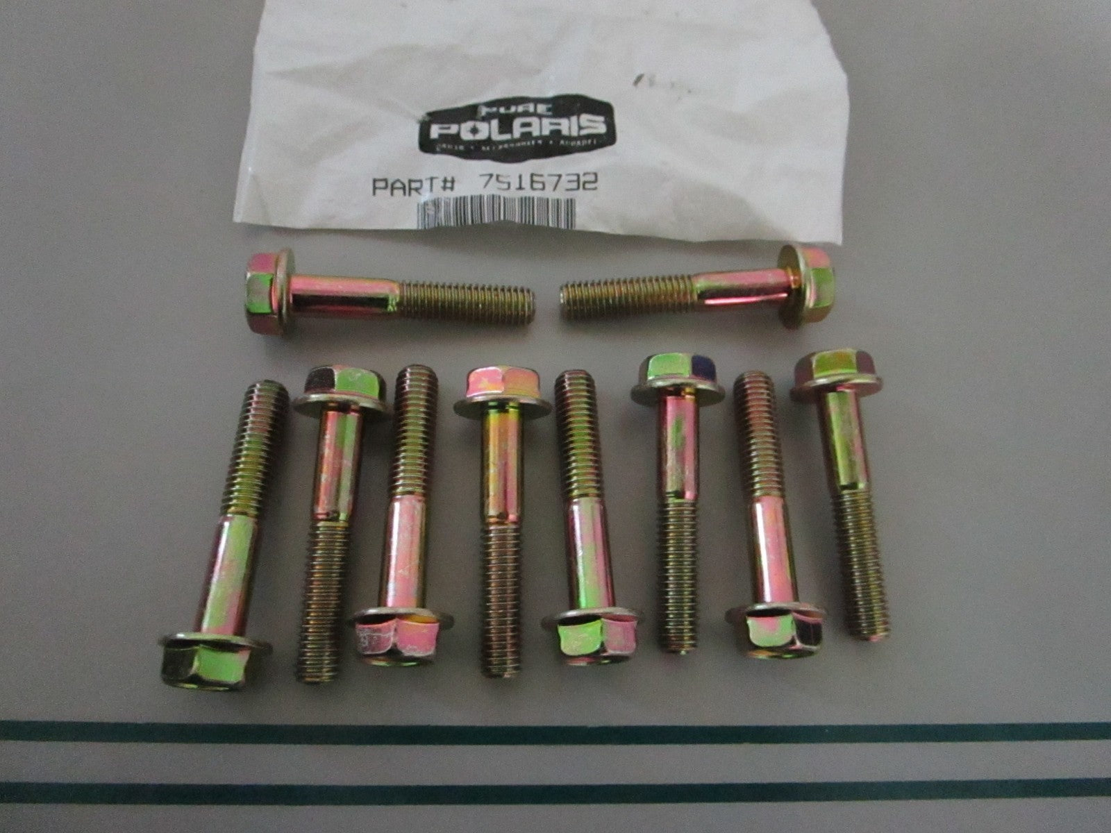 NEW OEM (LOT OF 10) 7516732 Polaris Bolt 0810