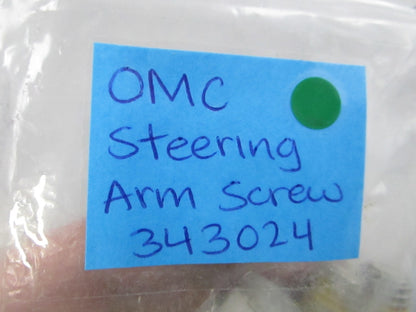 NEW OEM (LOT OF 2) 343024 0343024 OMC Johnson Evinrude Steering Arm Screw 0810