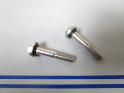 *NEW OEM* (LOT OF 2) 0810 OMC Johnson Evinrude Lower Bearing Screw 0332590