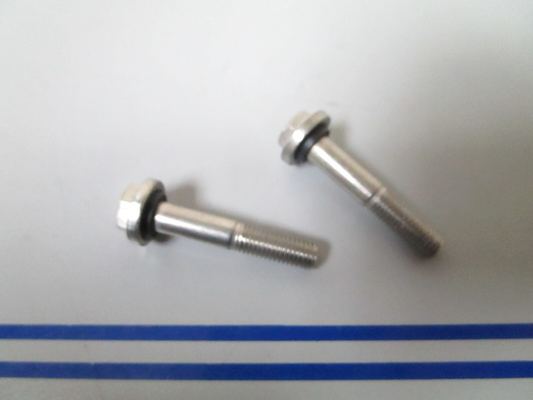 *NEW OEM* (LOT OF 2) 0810 OMC Johnson Evinrude Lower Bearing Screw 0332590