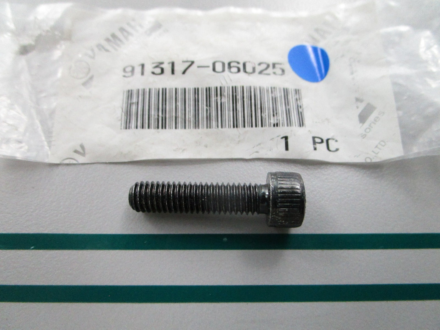 NEW OEM 91317-06025 Yamaha Bolt 0810