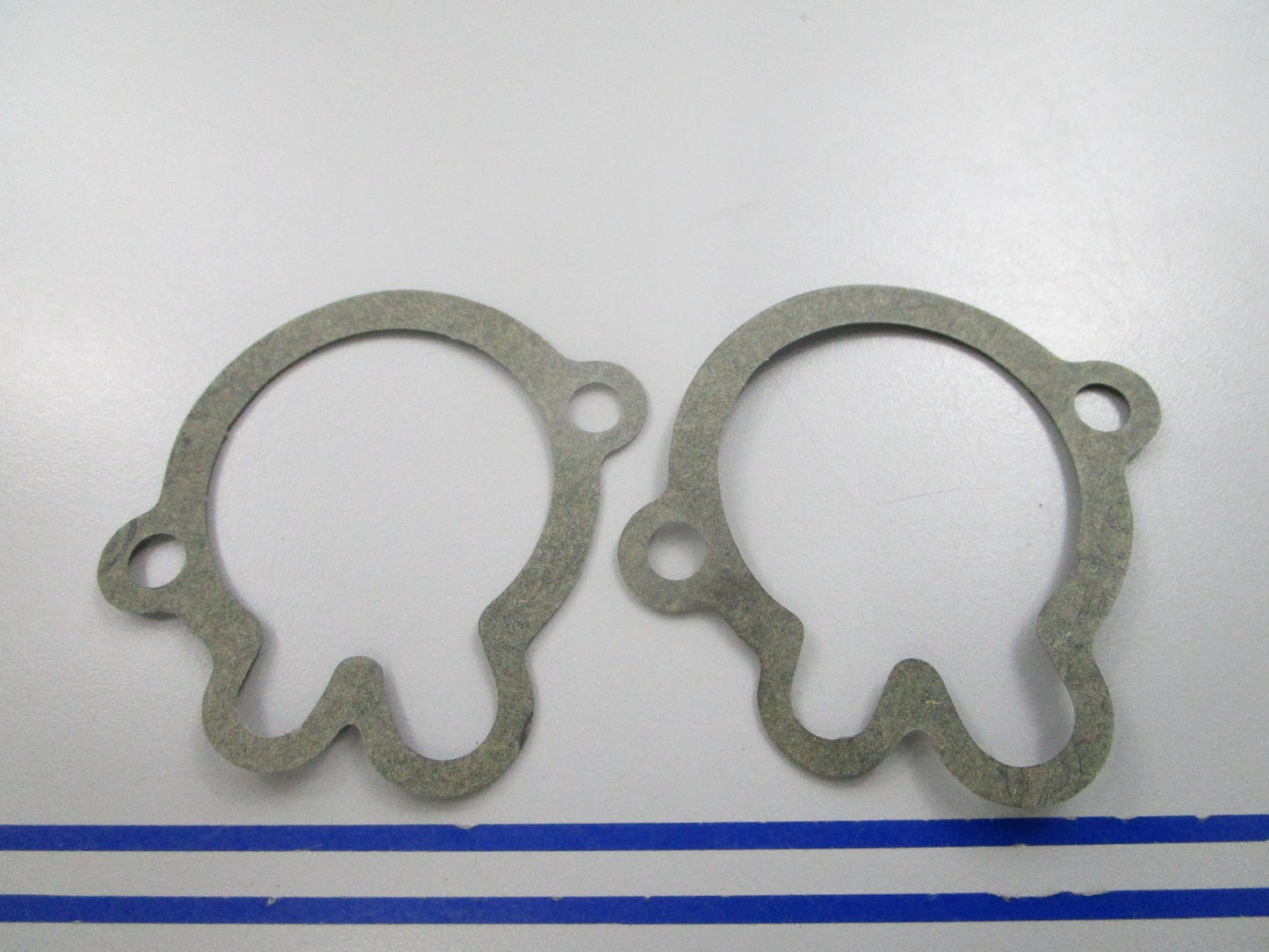 NEW OEM (LOT OF 2) 305441 0305441 OMC Johnson Evinrude Gasket 0810