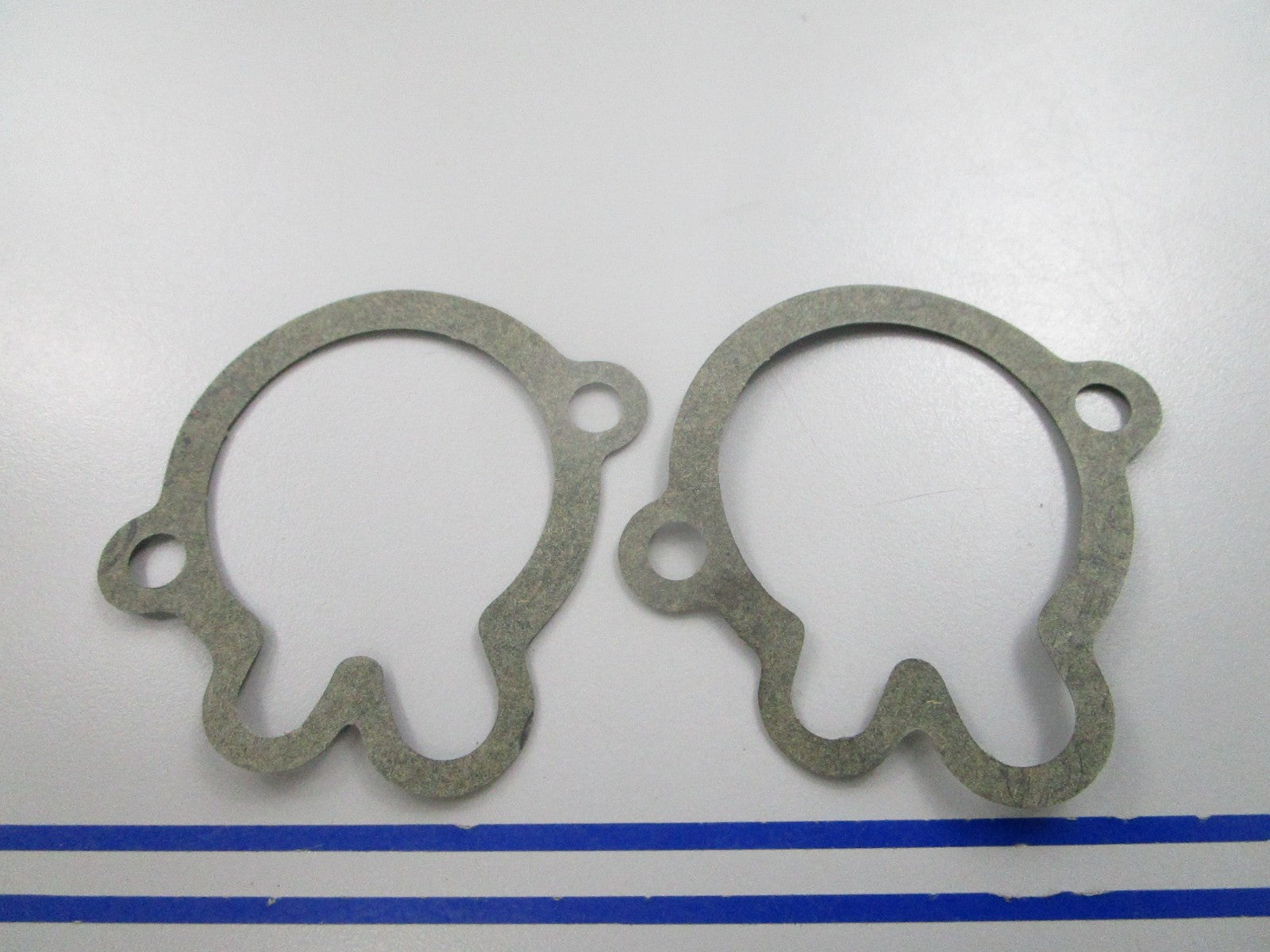 NEW OEM (LOT OF 2) 305441 0305441 OMC Johnson Evinrude Gasket 0810
