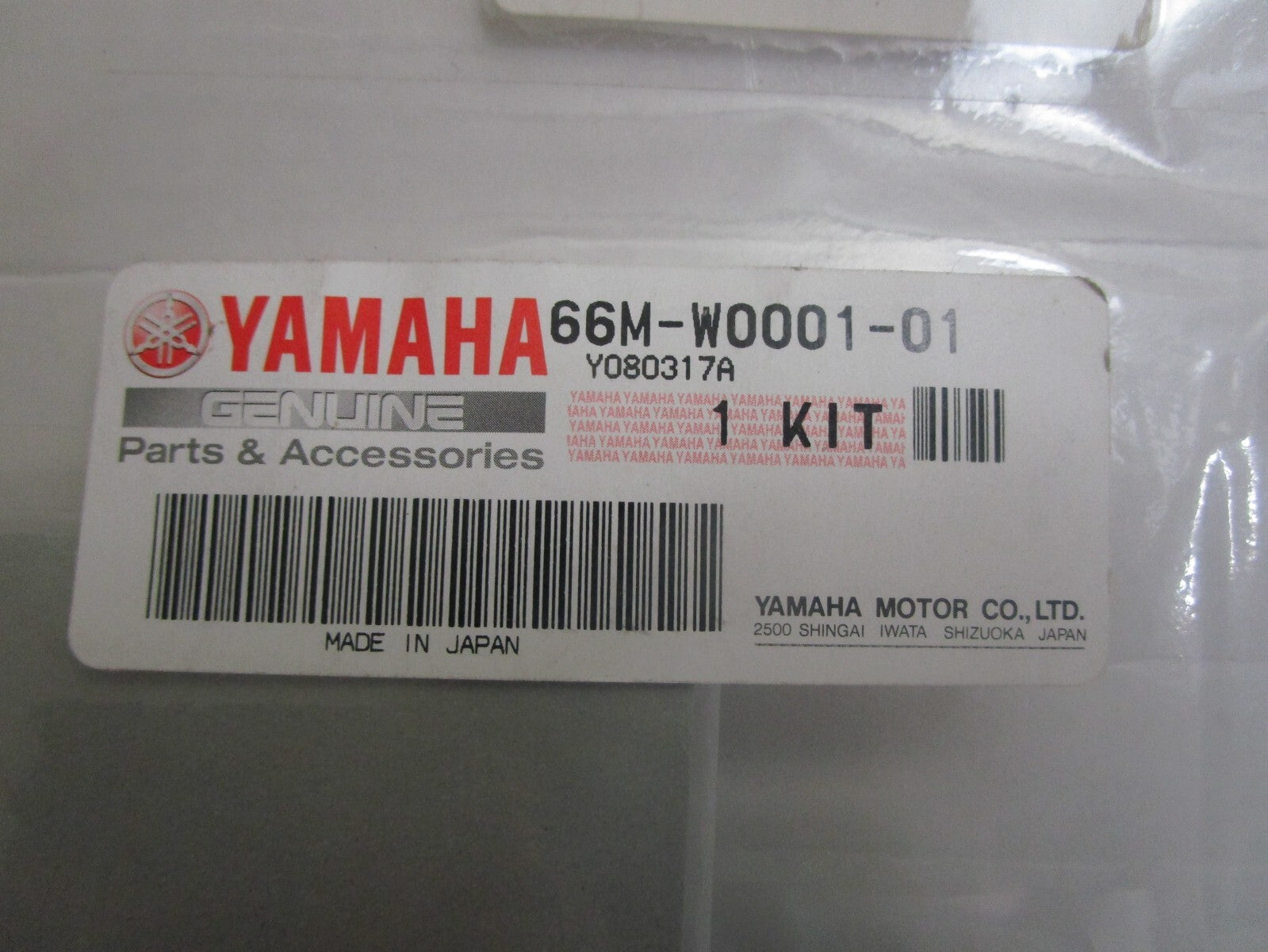 *NEW OEM* 0820 Yamaha Powerhead Gasket Kit 66M-W0001-01-00