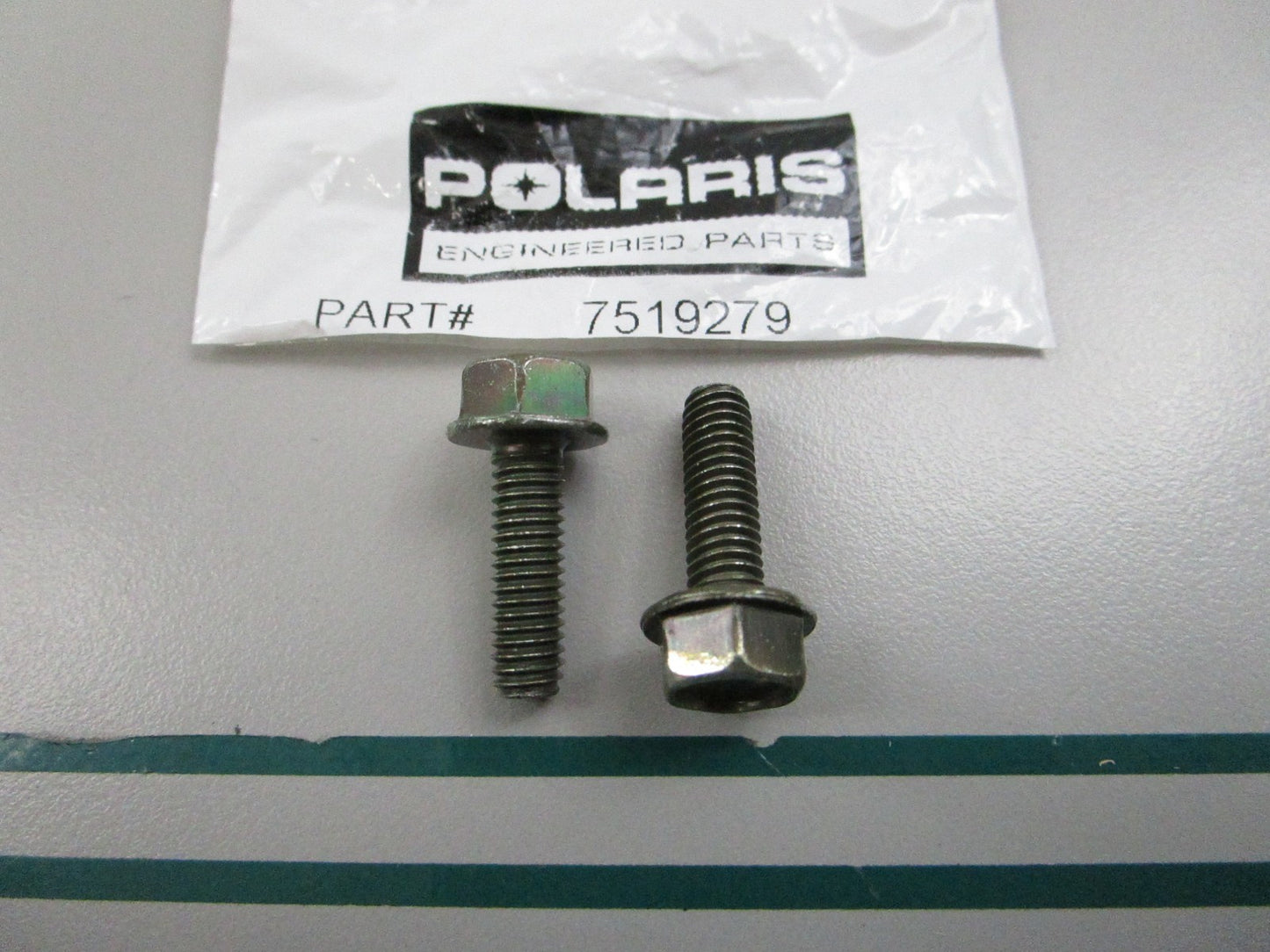 NEW OEM (LOT OF 2) 7519279 Polaris Screw 0810