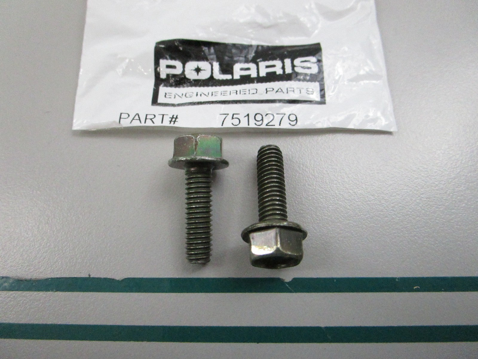 NEW OEM (LOT OF 2) 7519279 Polaris Screw 0810