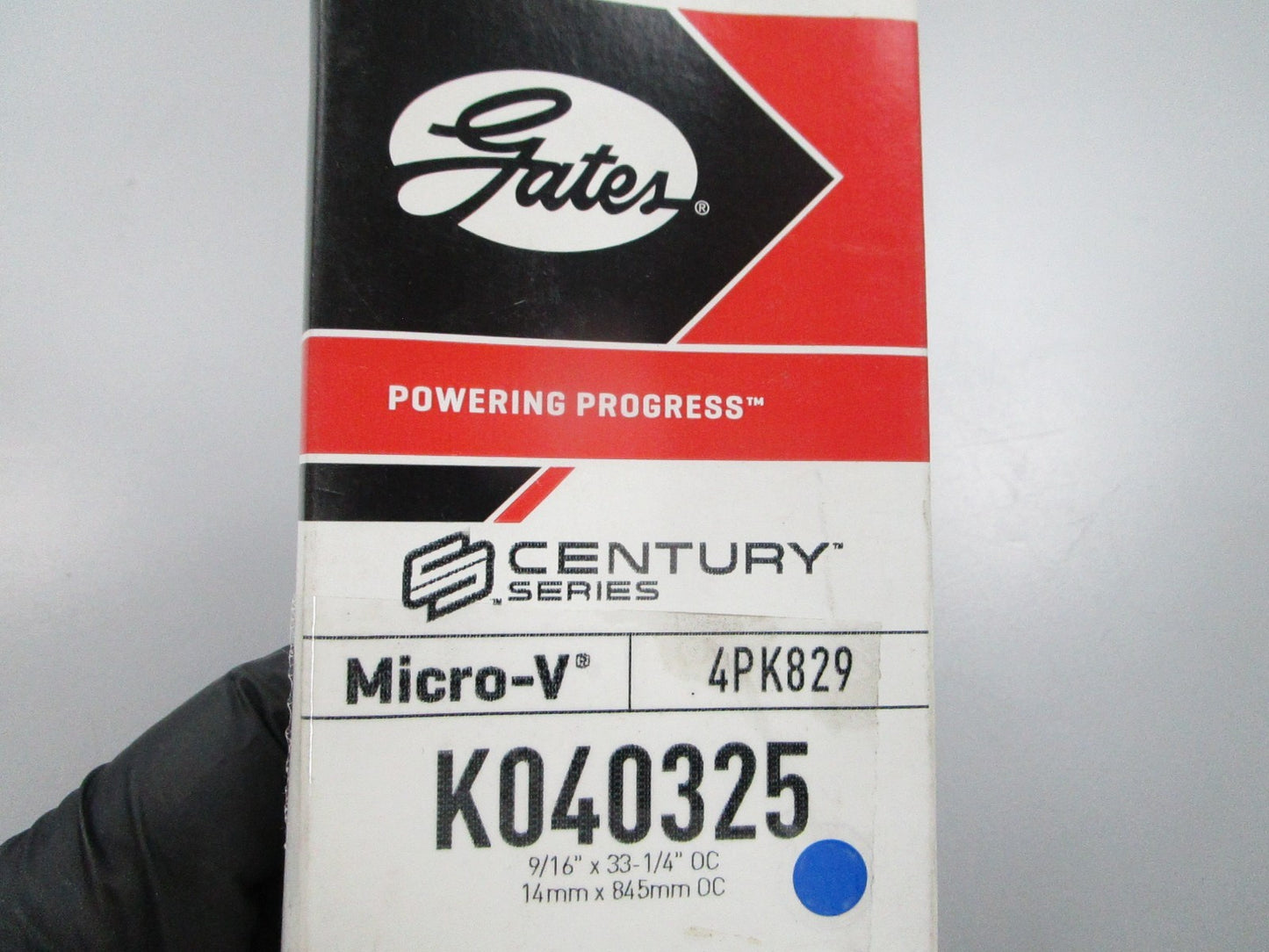 NEW K040325 Gates Micro-V Serpentine Belt 0810