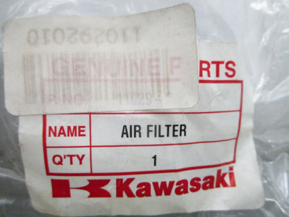 NEW OEM Kawasaki 11029-2010 Air Filter 0810
