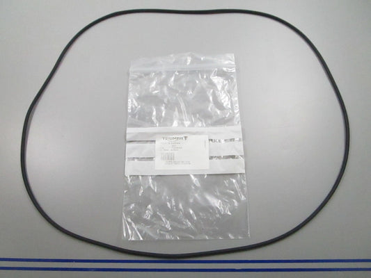 *NEW OEM* 0810 Triumph O-Ring T2204099