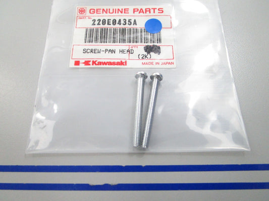 NEW OEM (LOT OF 2) Kawasaki  Pan Head Screw 220E0435A 0810