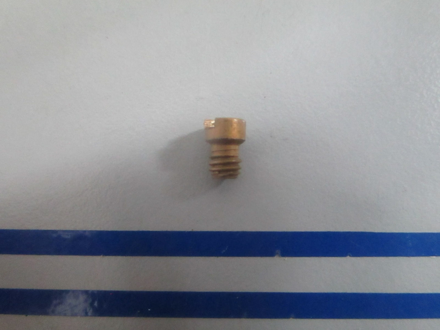 NEW OEM 317473 0317473 OMC Johnson Evinrude .030 30 Orifice 0820
