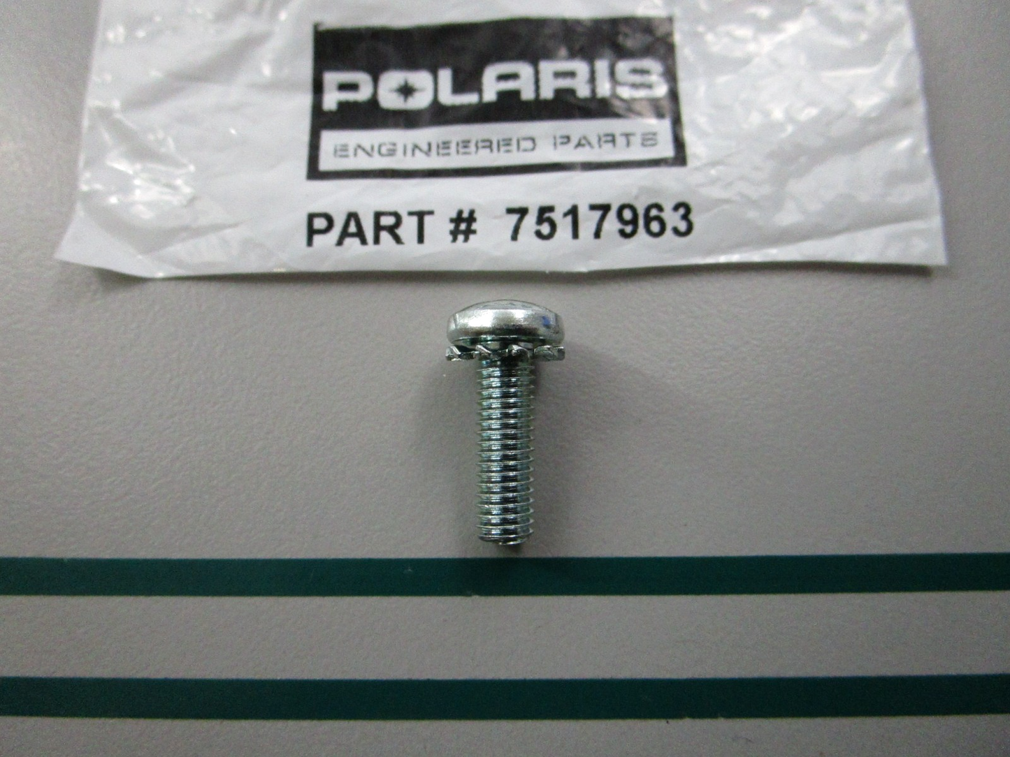 NEW OEM 7517963 Polaris Screw 0810