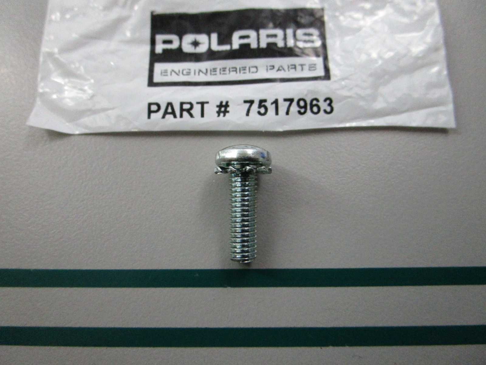 NEW OEM 7517963 Polaris Screw 0810