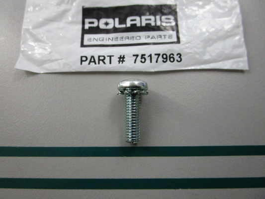 NEW OEM 7517963 Polaris Screw 0810