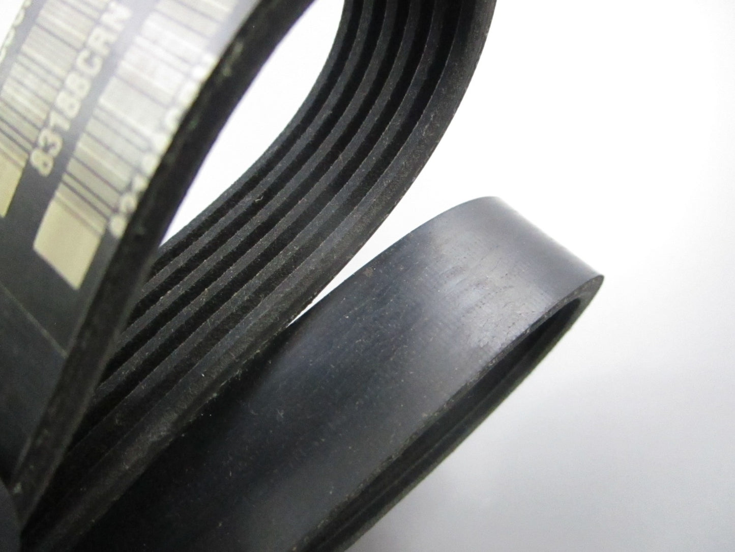 *NEW OEM* 0720 Pleasure Craft Crusader Belt R066036
