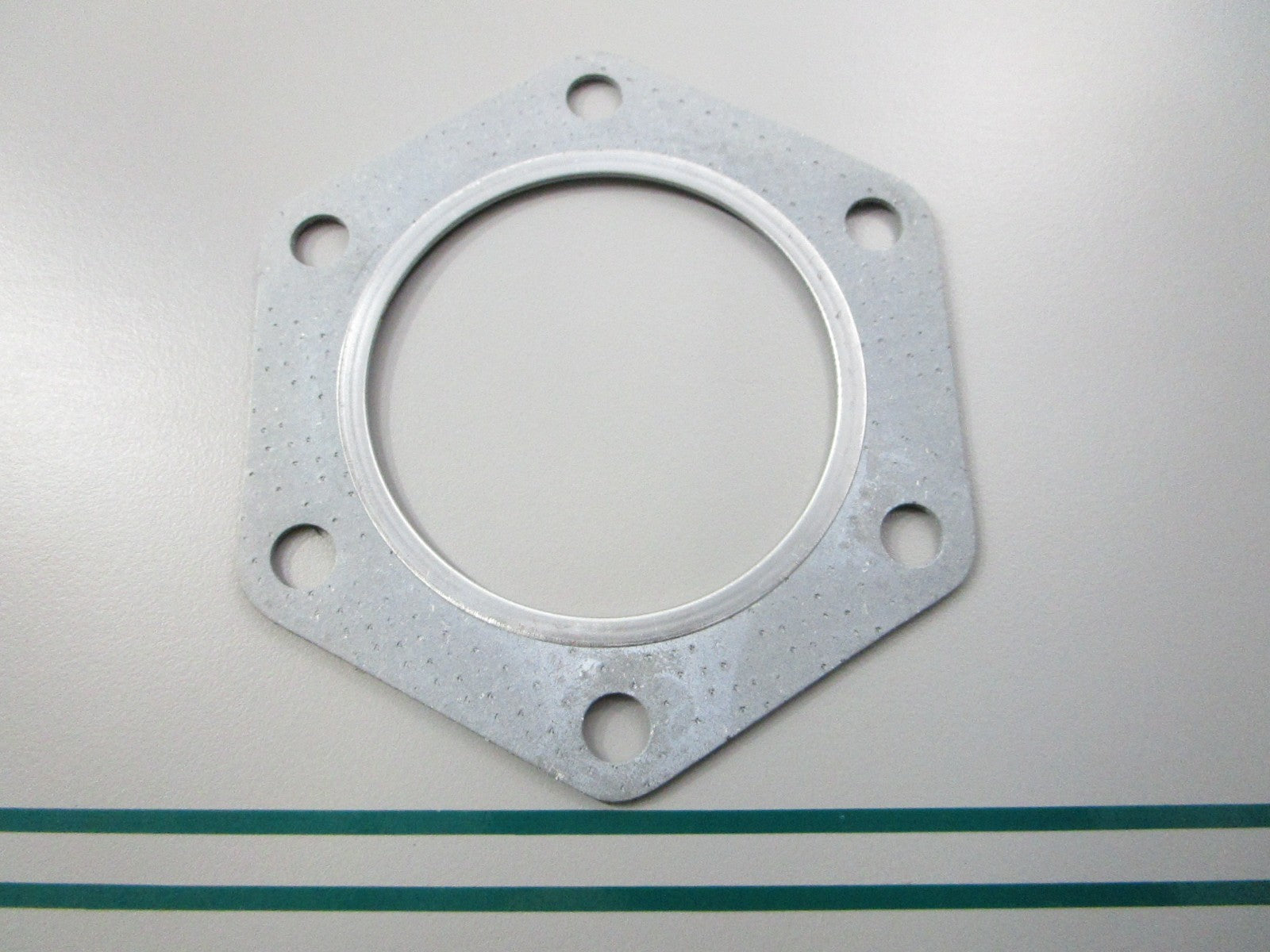 NEW OEM 3080248 Polaris Gasket 0810