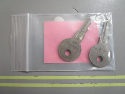 *NEW OEM* (LOT OF 2) 0810 OMC Johnson Evinrude Ignition Key 77-60 501809 0501809