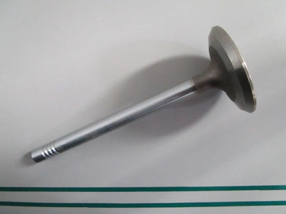 NEW OEM 913142 0913142 OMC Johnson Evinrude Exhaust Valve 0820