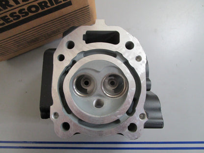 *NEW OEM* 0820 Mercury Quicksilver Cylinder Head 979-804767T