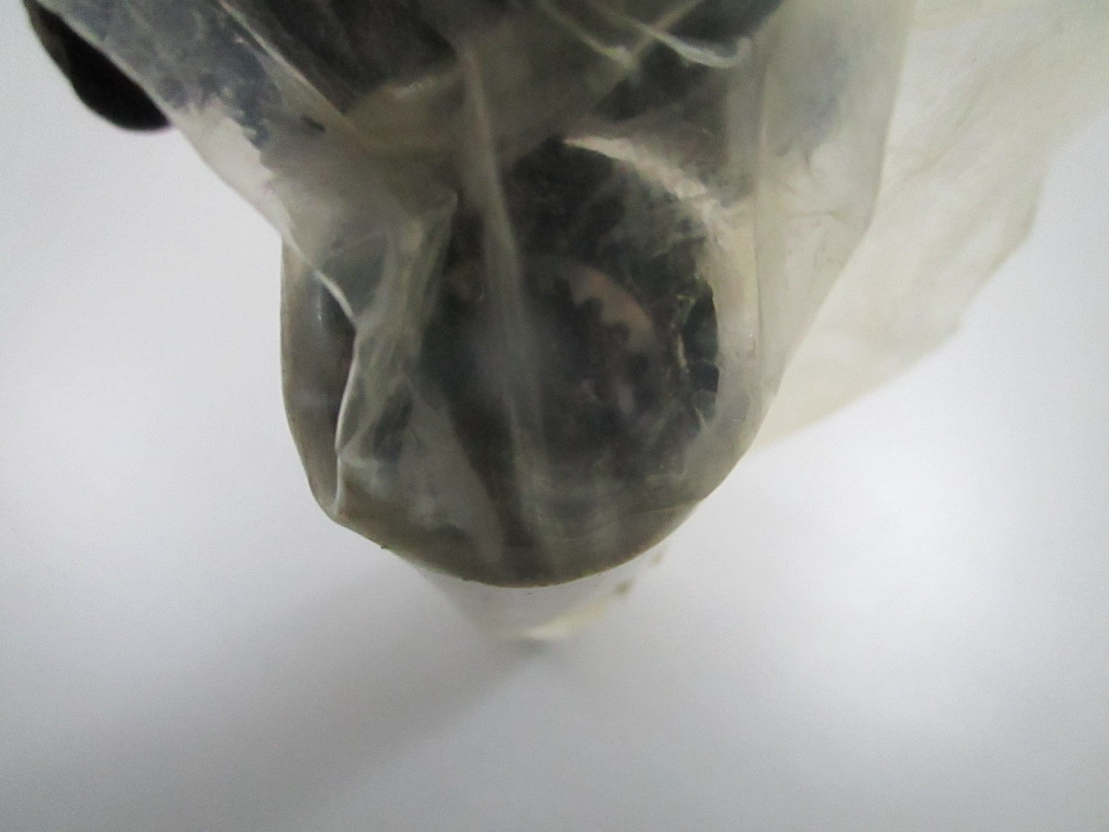 *NEW OEM* 0810 OMC Johnson Evinrude Shaft 980335 0980335