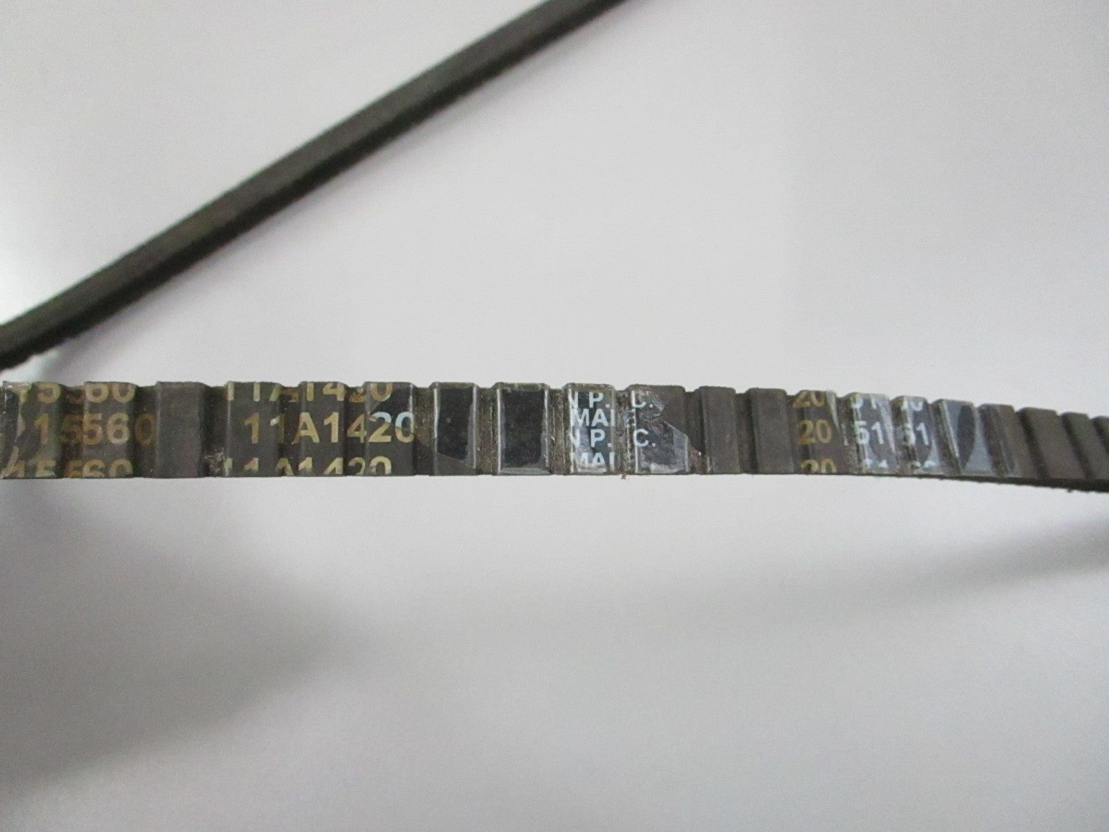 NEW 15560 Dayco Serpentine Belt 0810