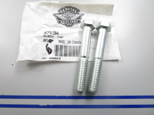 *NEW OEM* (LOT OF 2) 0810 Harley Davidson Hexagon Cap Screw 4719W