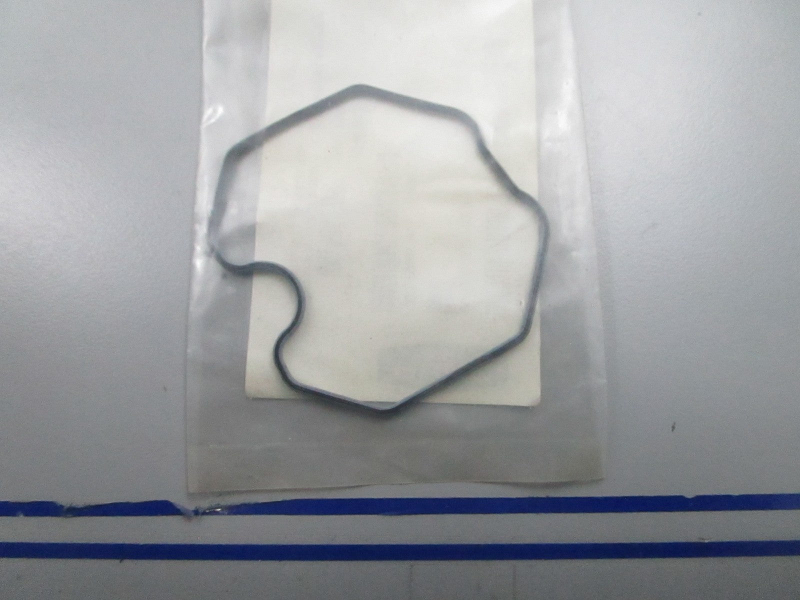 *NEW OEM* 0810 Polaris Float Seal 0453032