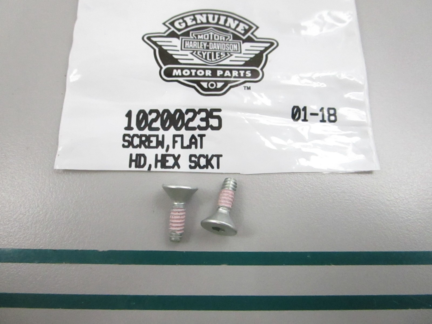 NEW OEM (LOT OF 2) 10200235 Harley Davidson Flat Screw 0810