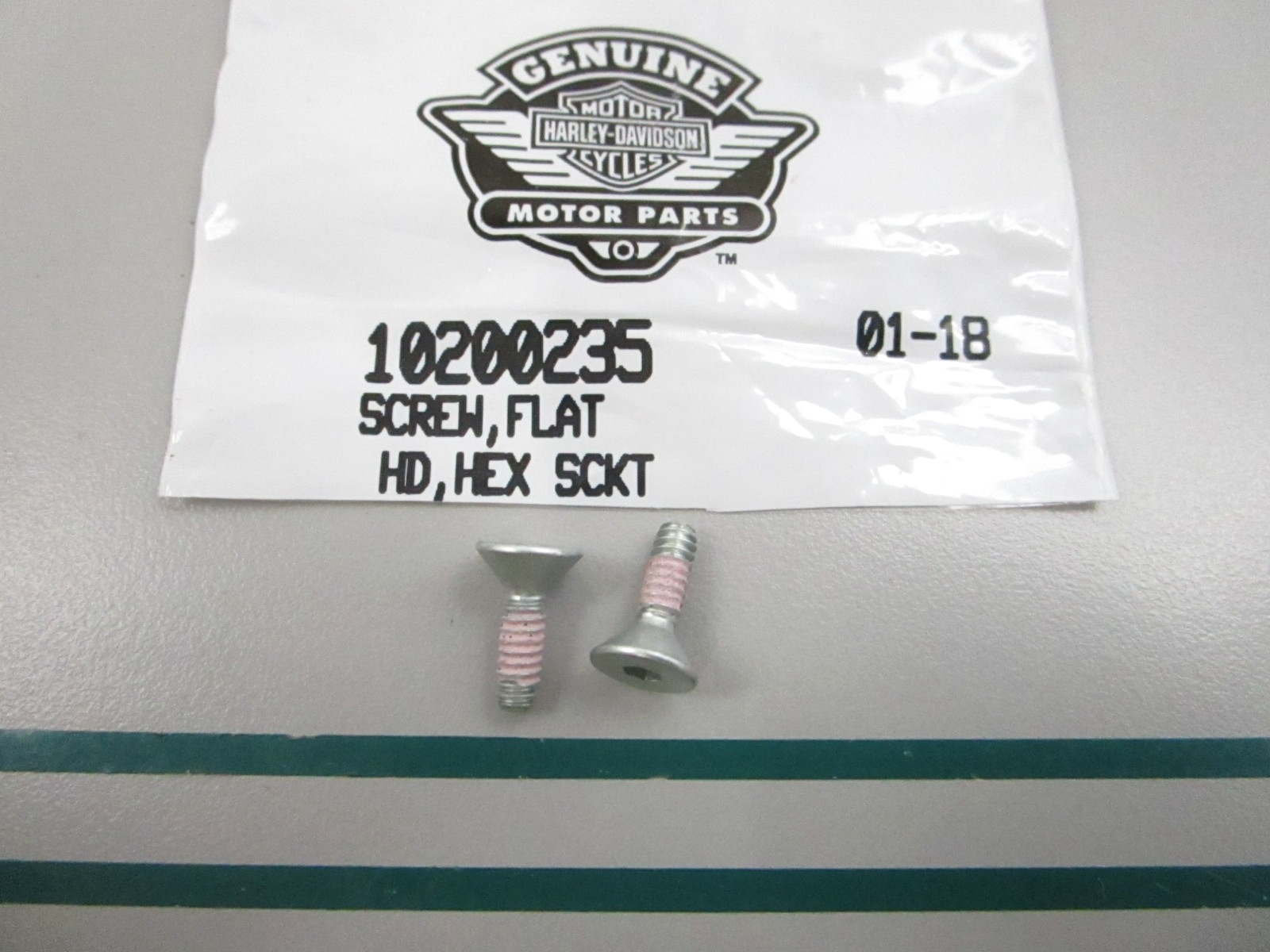 NEW OEM (LOT OF 2) 10200235 Harley Davidson Flat Screw 0810