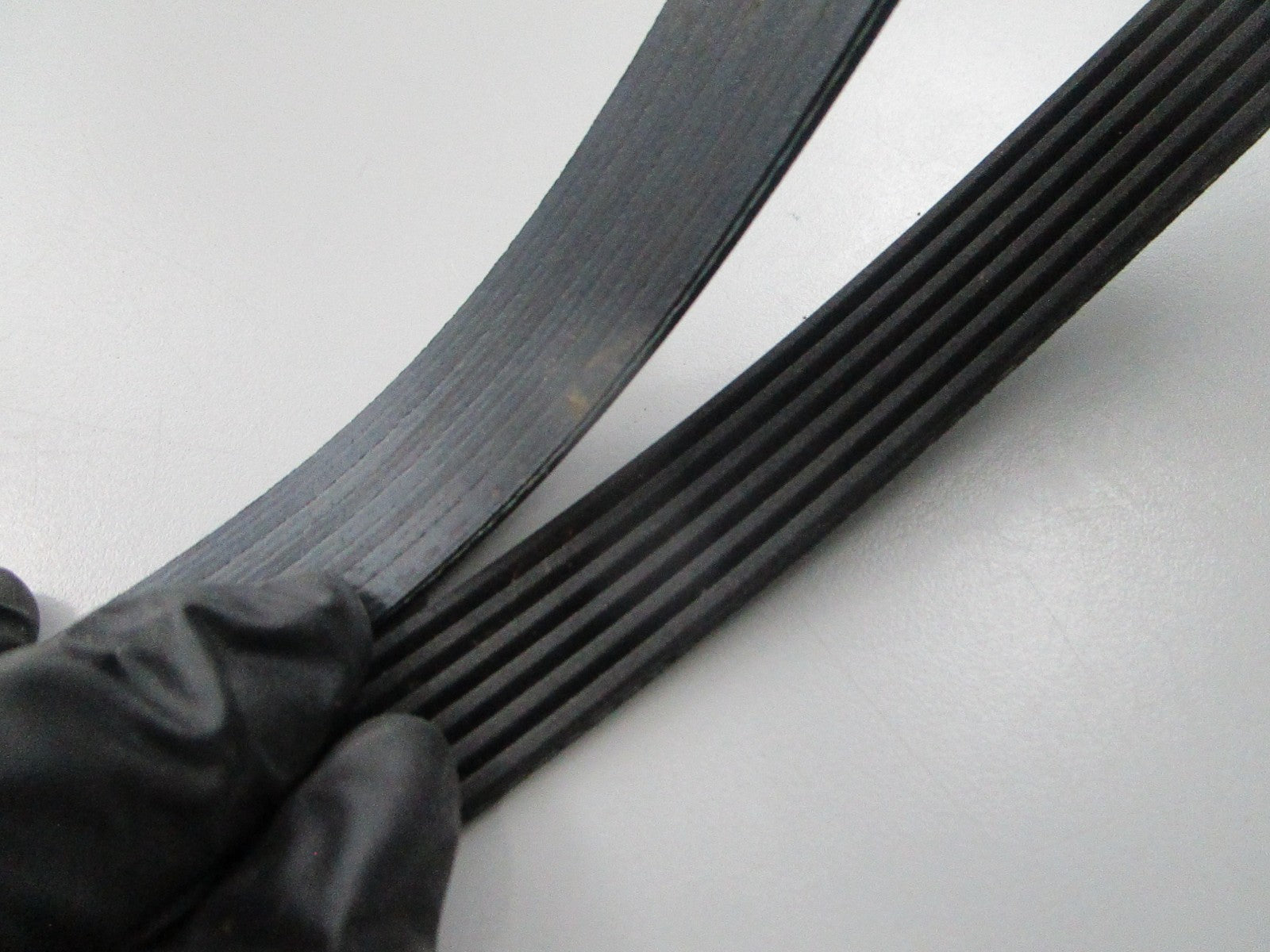 NEW K060355 Gates Micro-V Serpentine Belt 0810