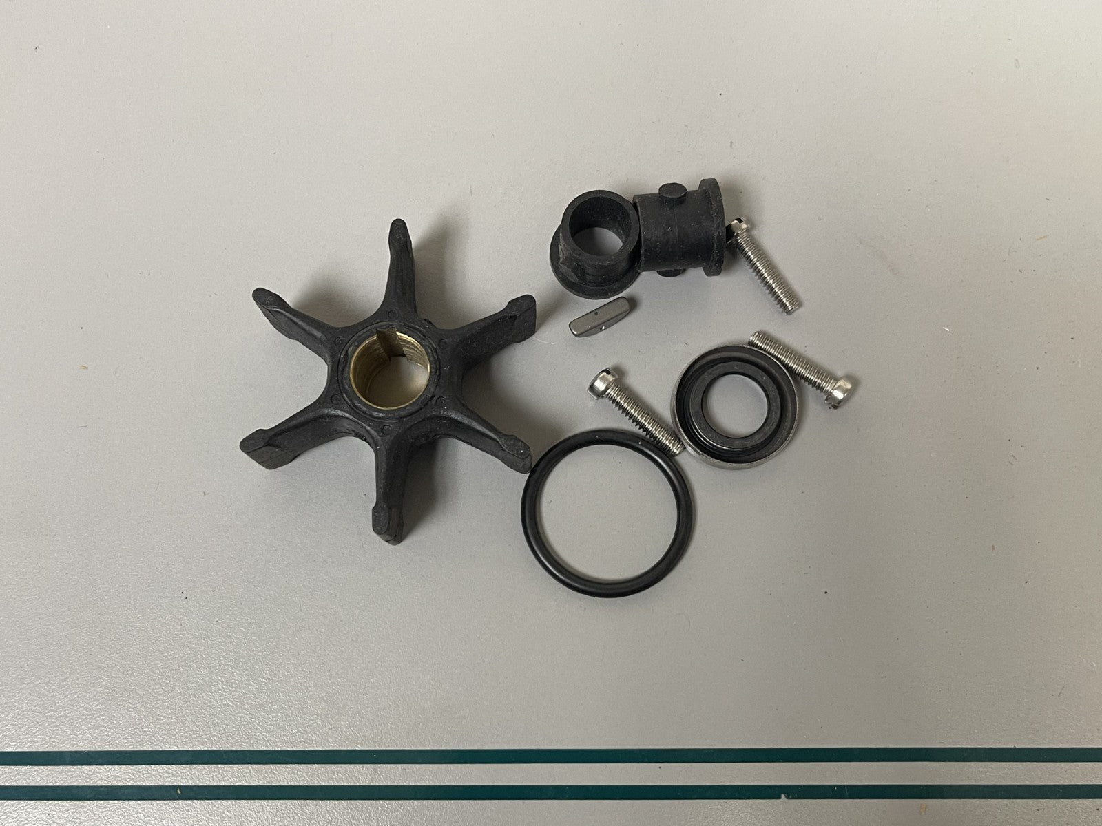 NEW OEM 379768 0379768 Johnson Evinrude Water Pump Kit 0670