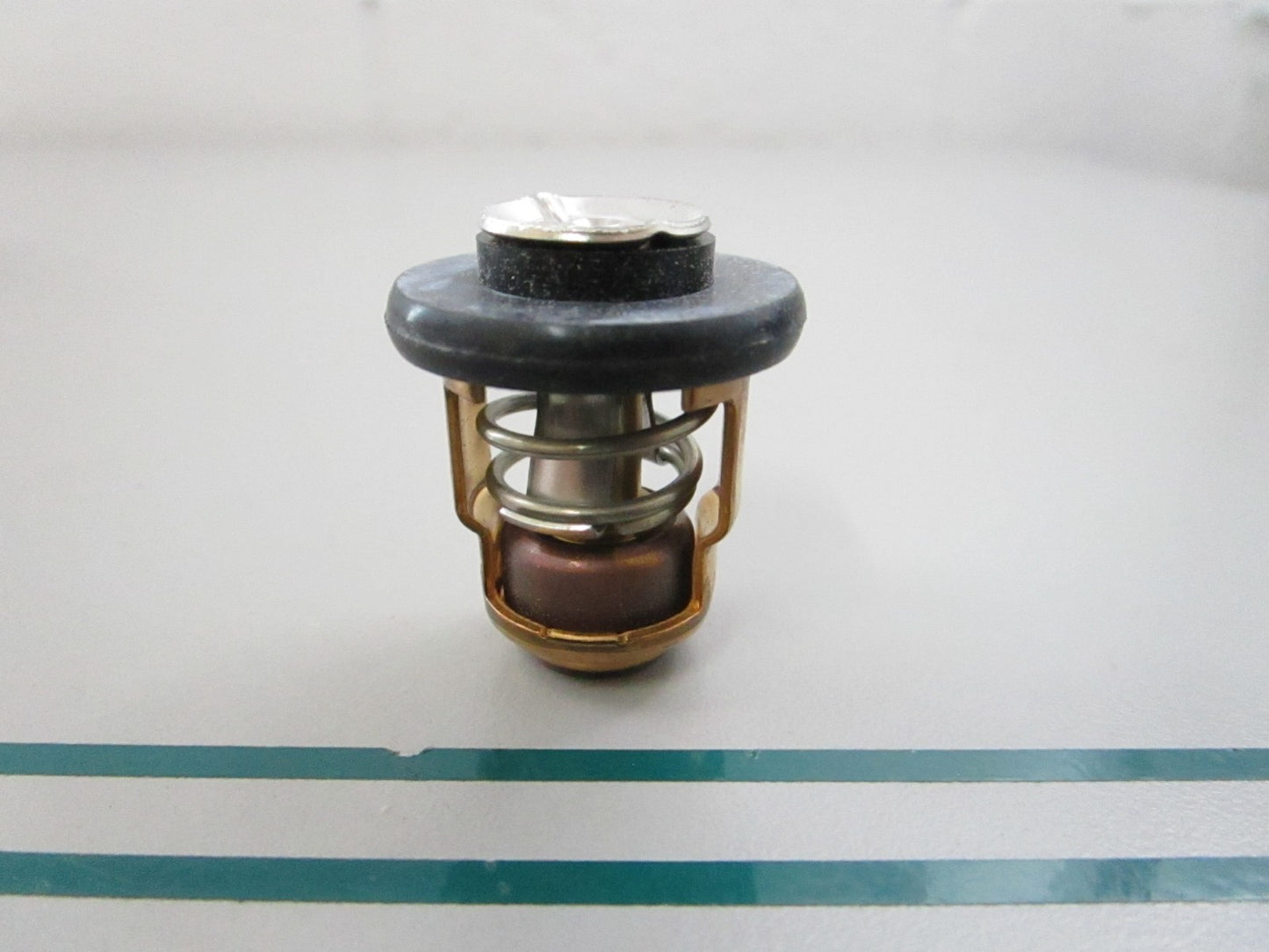 NEW OEM 6G8-12411-02-00 Yamaha Thermostat 0810