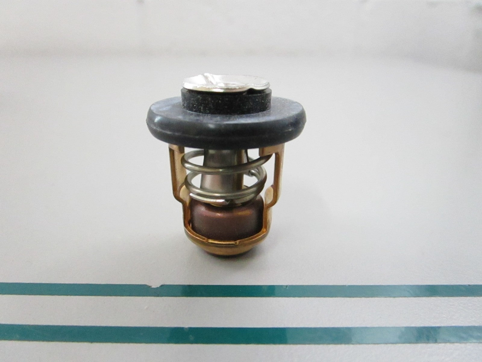 NEW OEM 6G8-12411-02-00 Yamaha Thermostat 0810