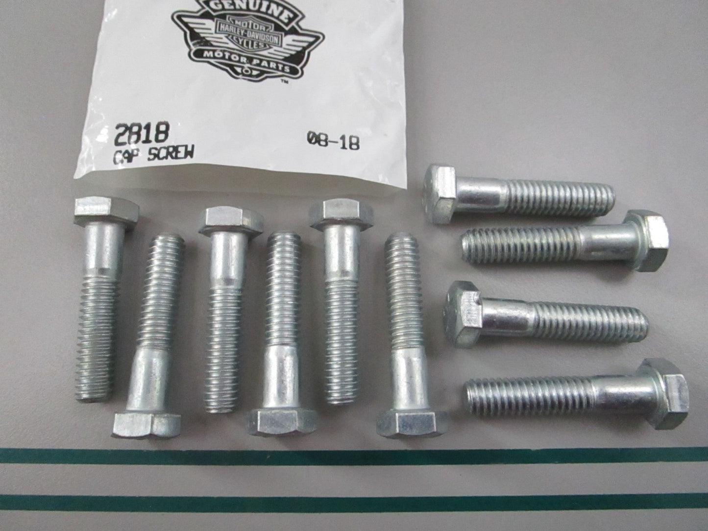 NEW OEM (LOT OF 10) 2818 Harley Davidson Screw 0810