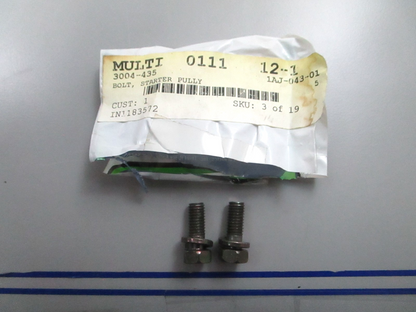 *NEW OEM* (LOT OF 2) 0810 Arctic Cat Bolt 3004-435