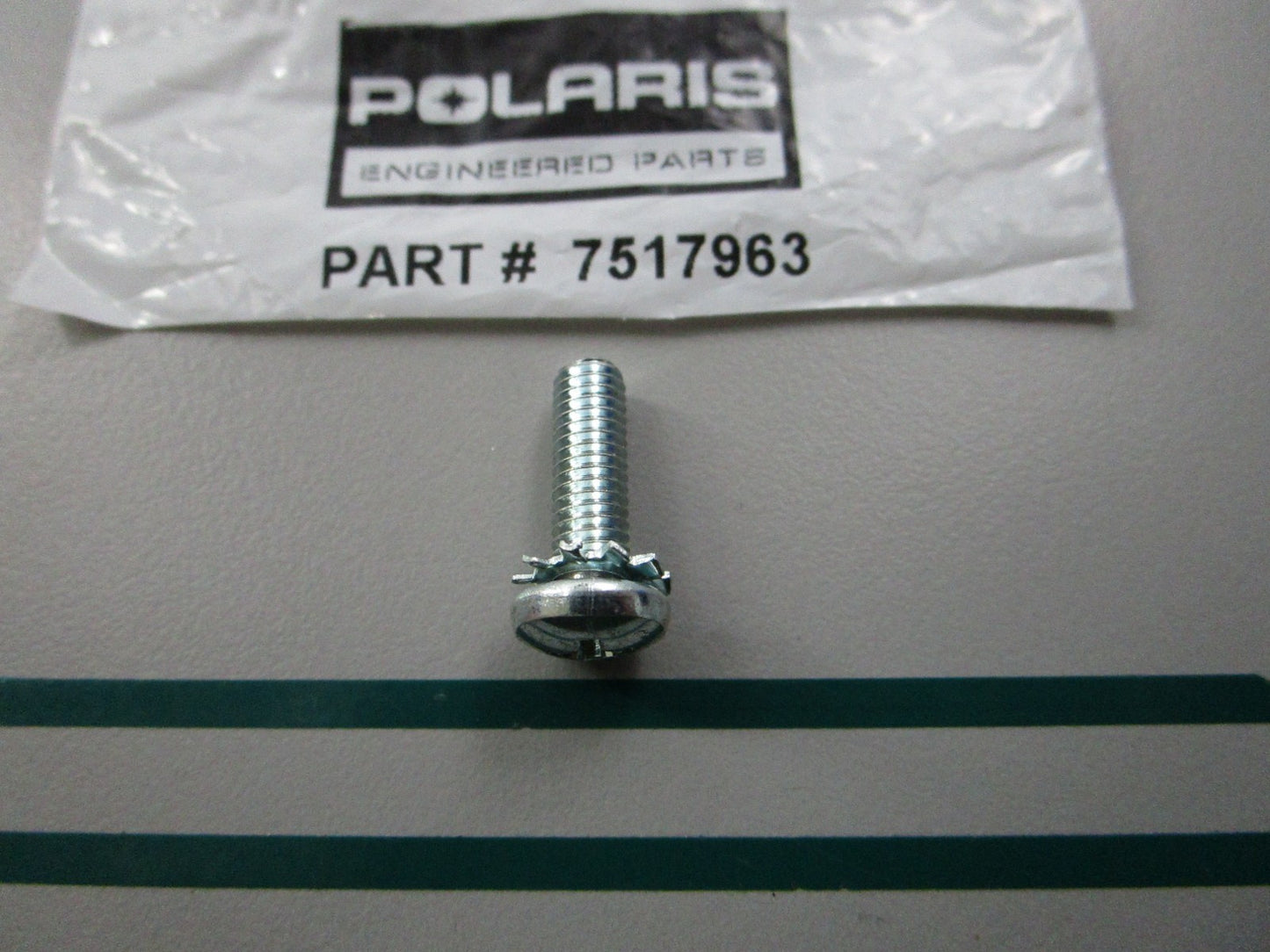 NEW OEM 7517963 Polaris Screw 0810