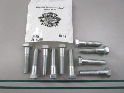 NEW OEM (LOT OF 10) 2818 Harley Davidson Screw 0810