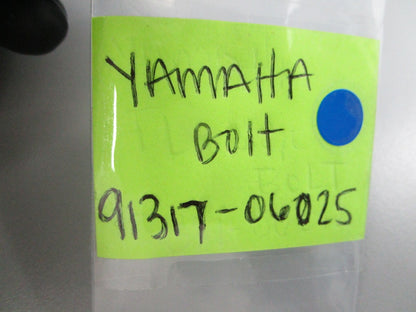 NEW OEM 91317-06025 Yamaha Bolt 0810