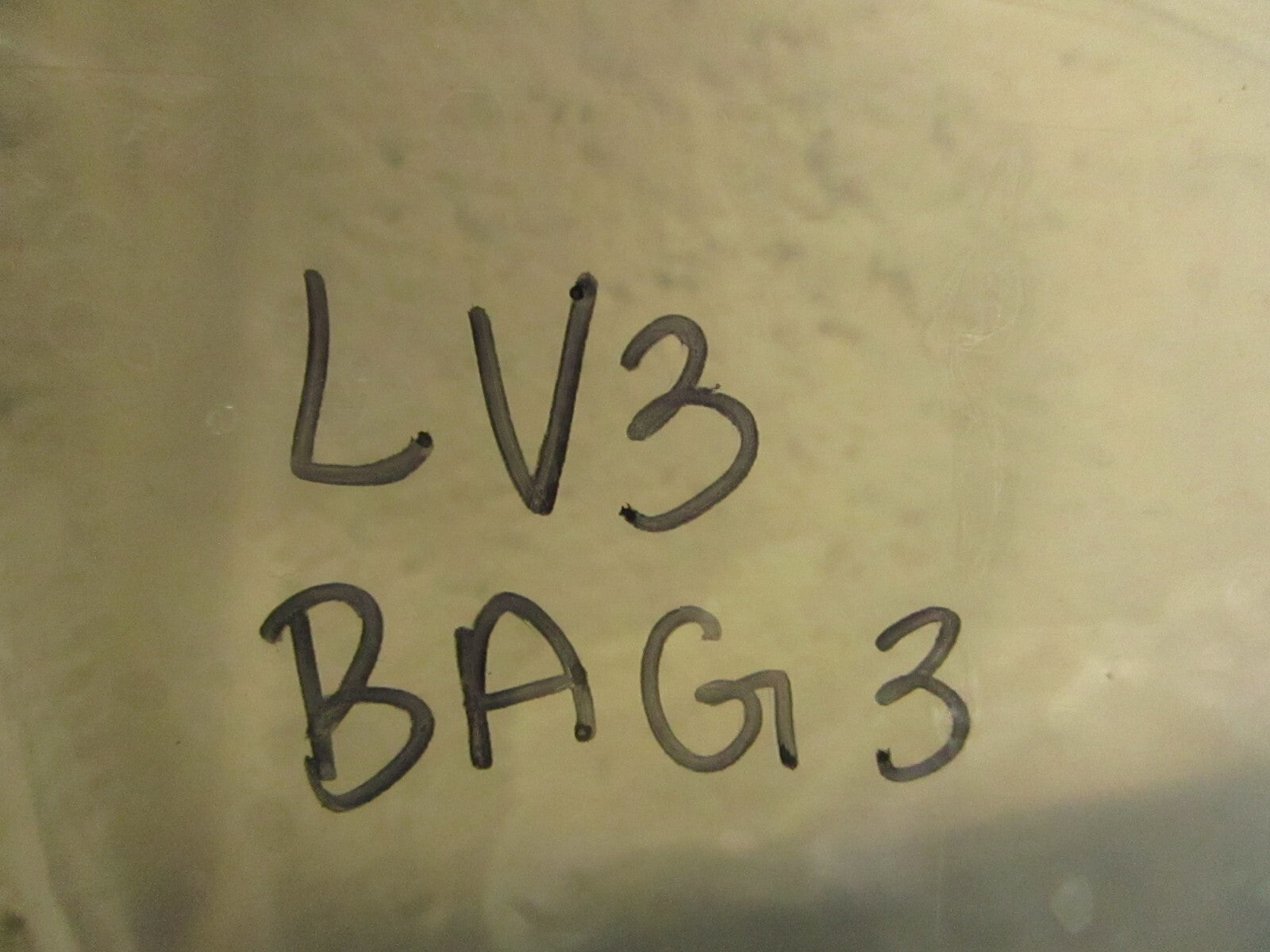 *NEW OEM* 0750 Mercury FUEL FILTER SCREEN 35-823534