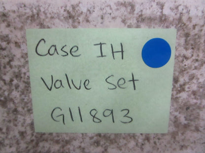 *NEW OEM* 0820 Case IH Valve Set G11893