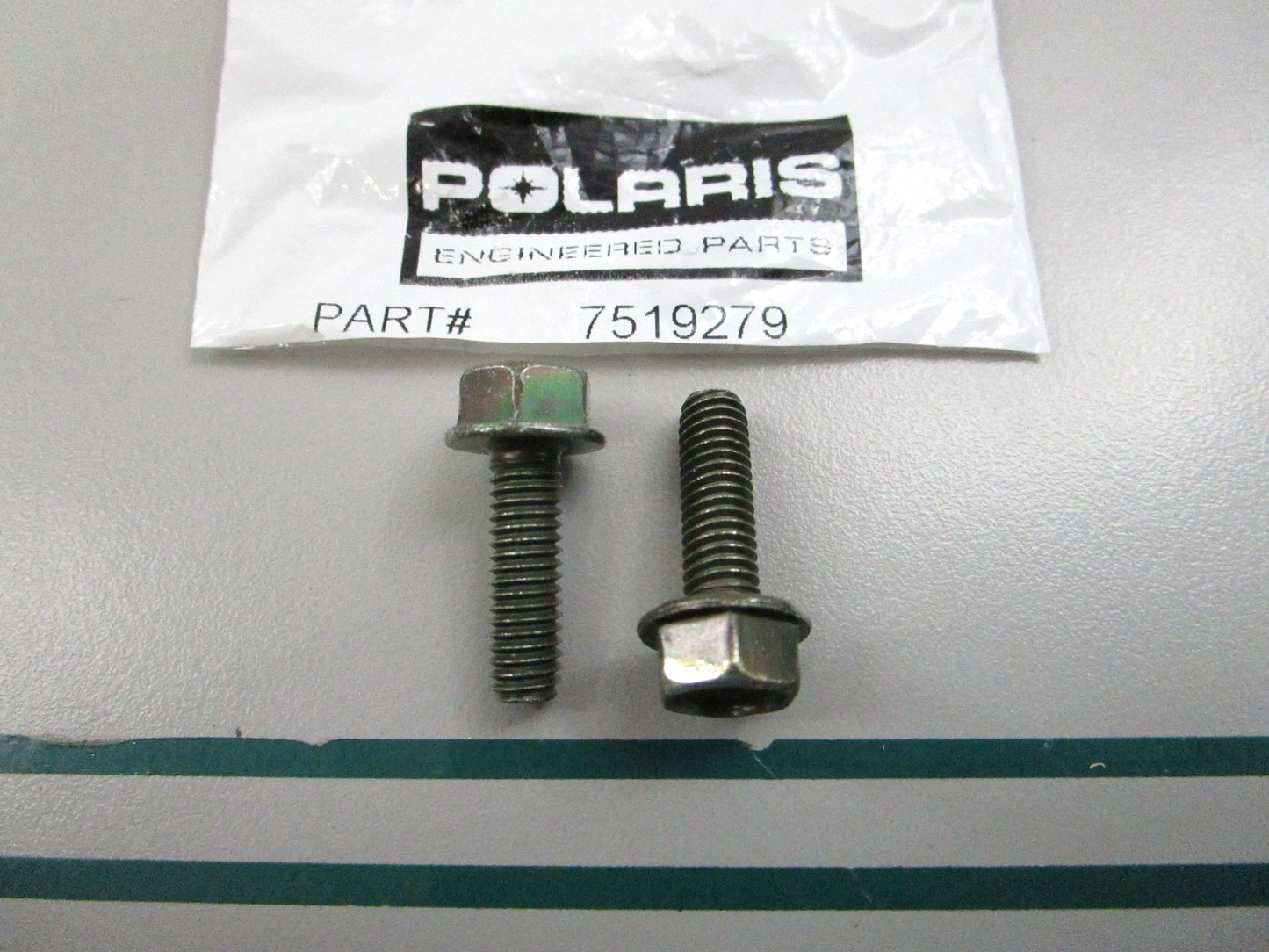 NEW OEM (LOT OF 2) 7519279 Polaris Screw 0810
