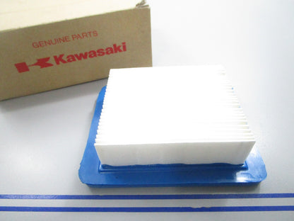 *NEW OEM* 0810 Kawasaki Air Filter 11029-2021